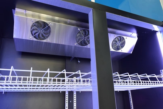 Peso KG 95-160kg Refrigerador de visualización de vino de vidrio con puertas dobles y sistema de refrigeración por aire