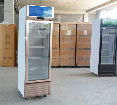 Refrigerador comercial de bebidas de una sola temperatura, con ventanilla vertical de una puerta