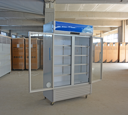110V/60HZ Voltado Casilla de visualización de bebidas refrigeradas comerciales con refrigerante R290a