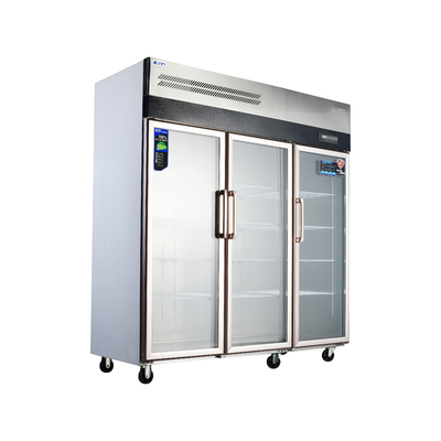 Refrigerador vertical de cocina de acero inoxidable 304/201 con vitrina de vidrio comercial